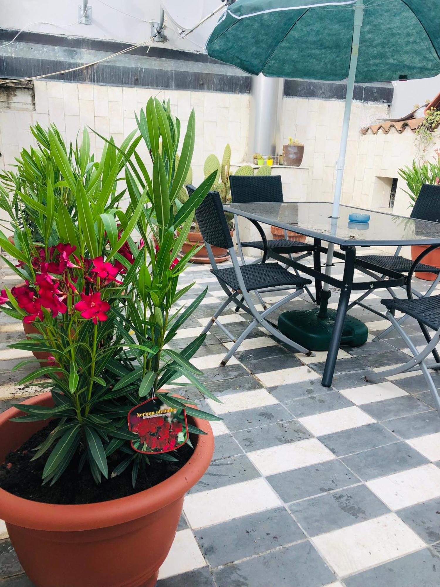 베로나 La Terrazza Di Aida 아파트 외부 사진